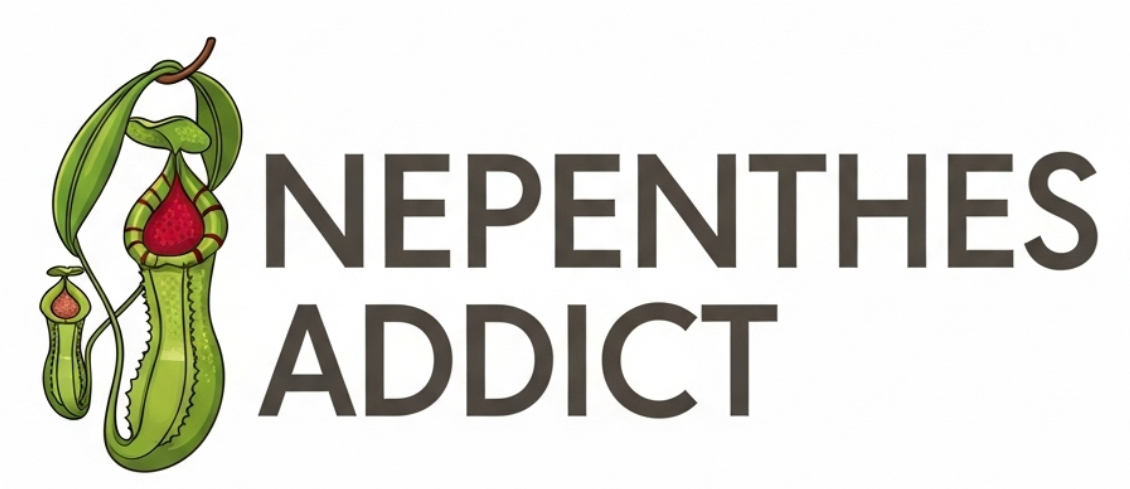 Nepenthes Addict